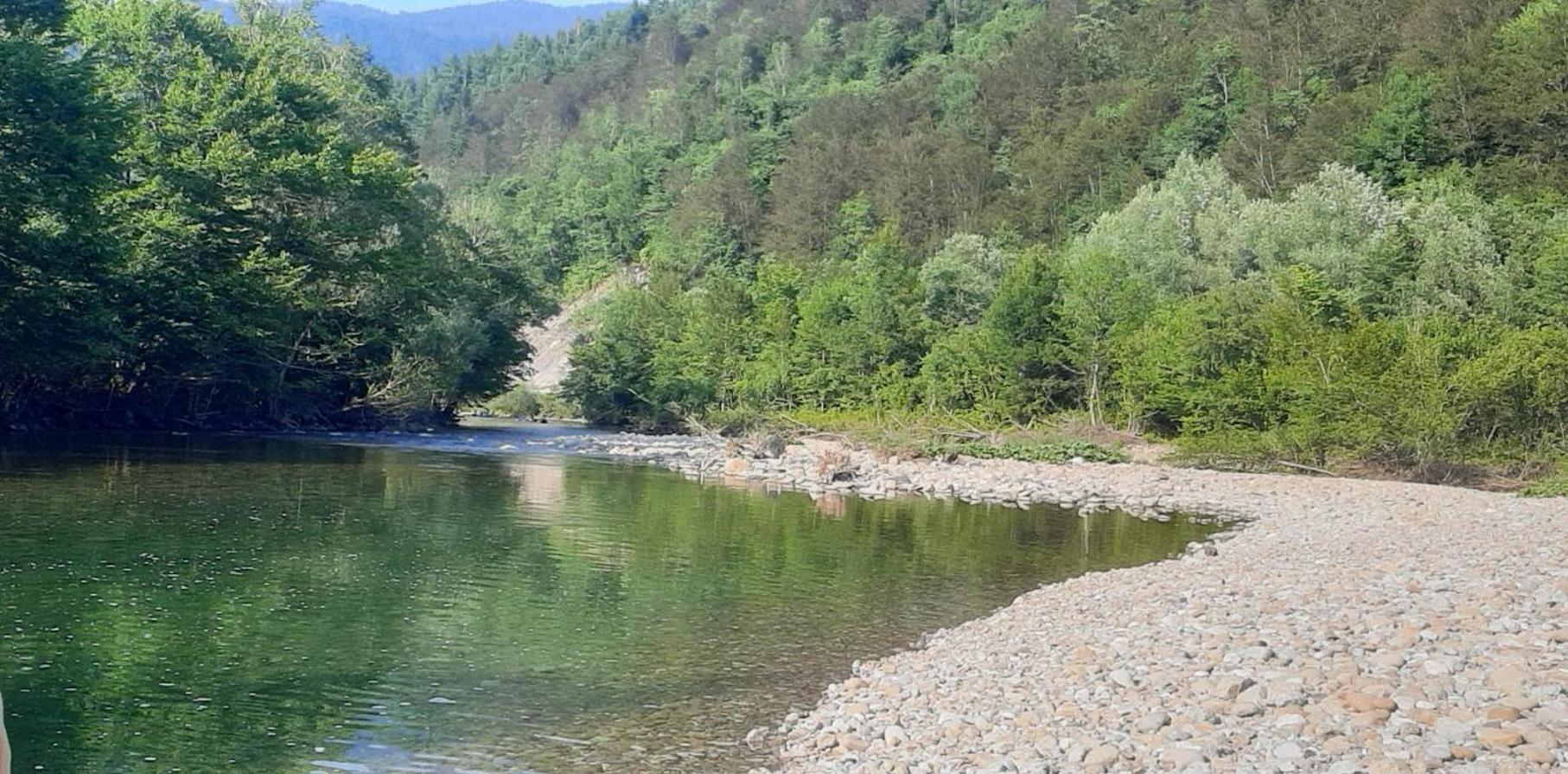 Kuca Za Odmor Forest Dream U Blizini Rijeke Kupe Plesce Eksteriør bilde